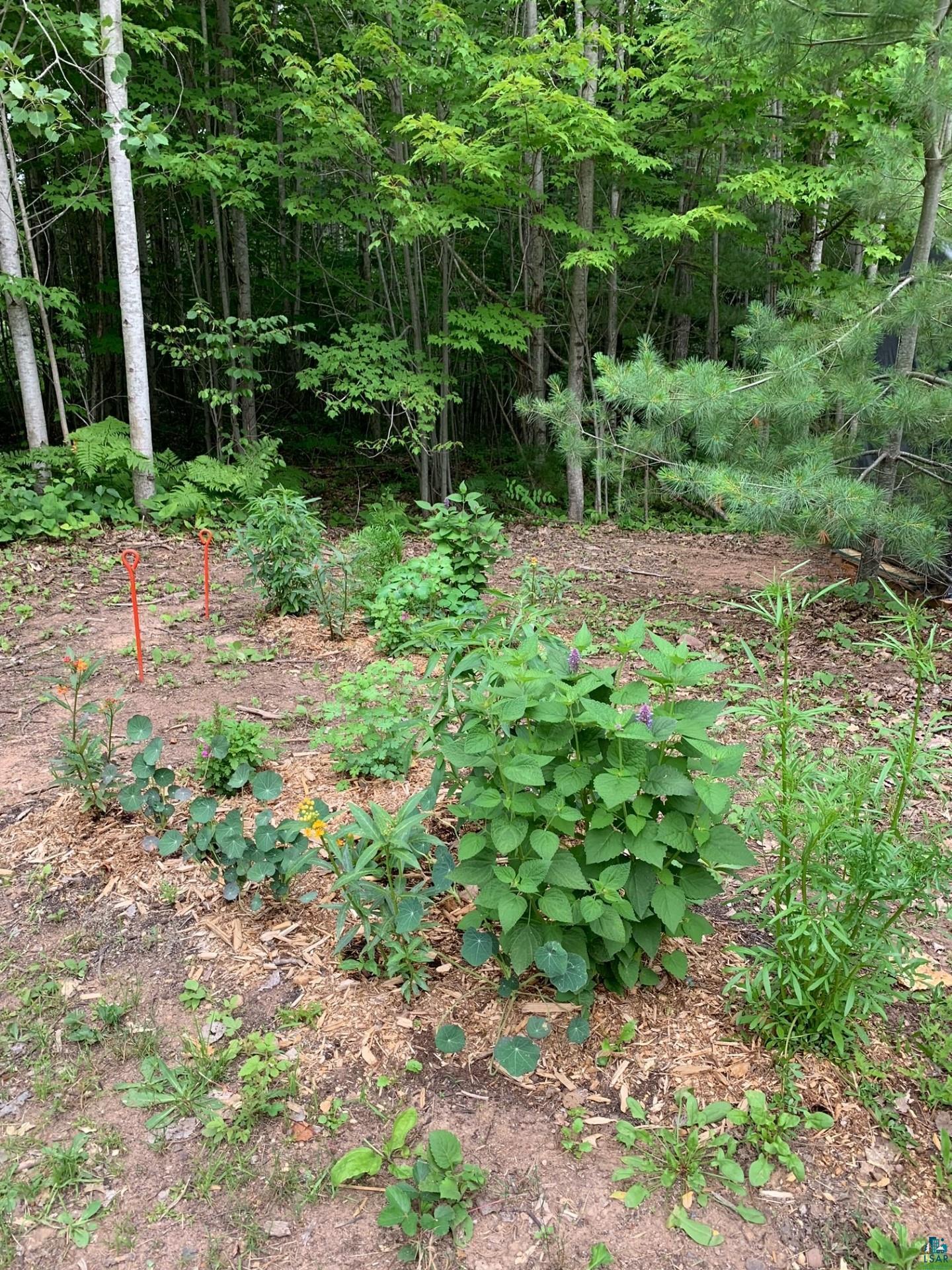 11754 Knoll Road Lake Nebagamon, WI 54849 - Photo 28 of 29