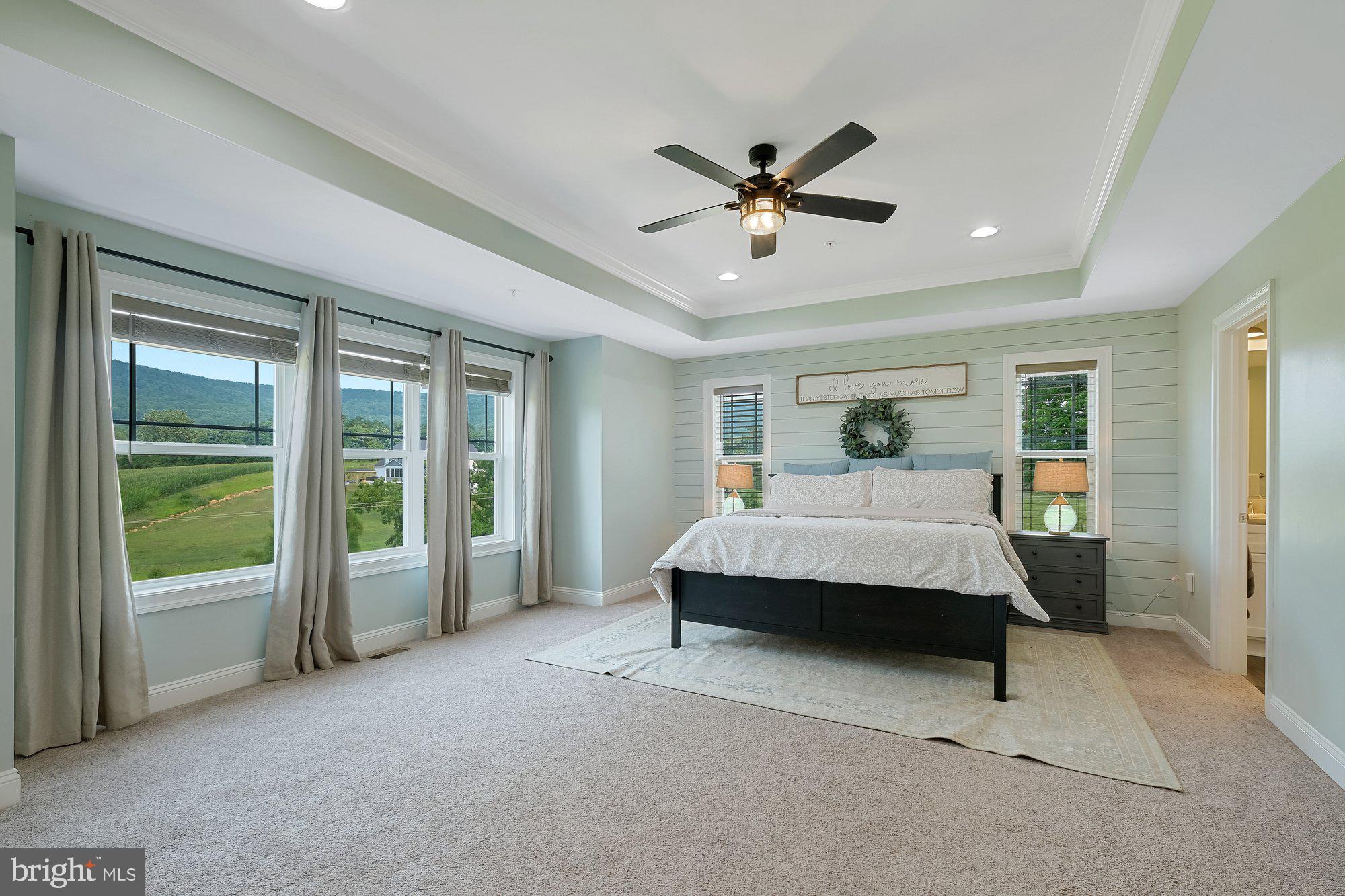 8712 Hollow Road Middletown, MD 21769 - Photo 15 of 37 Owners suite