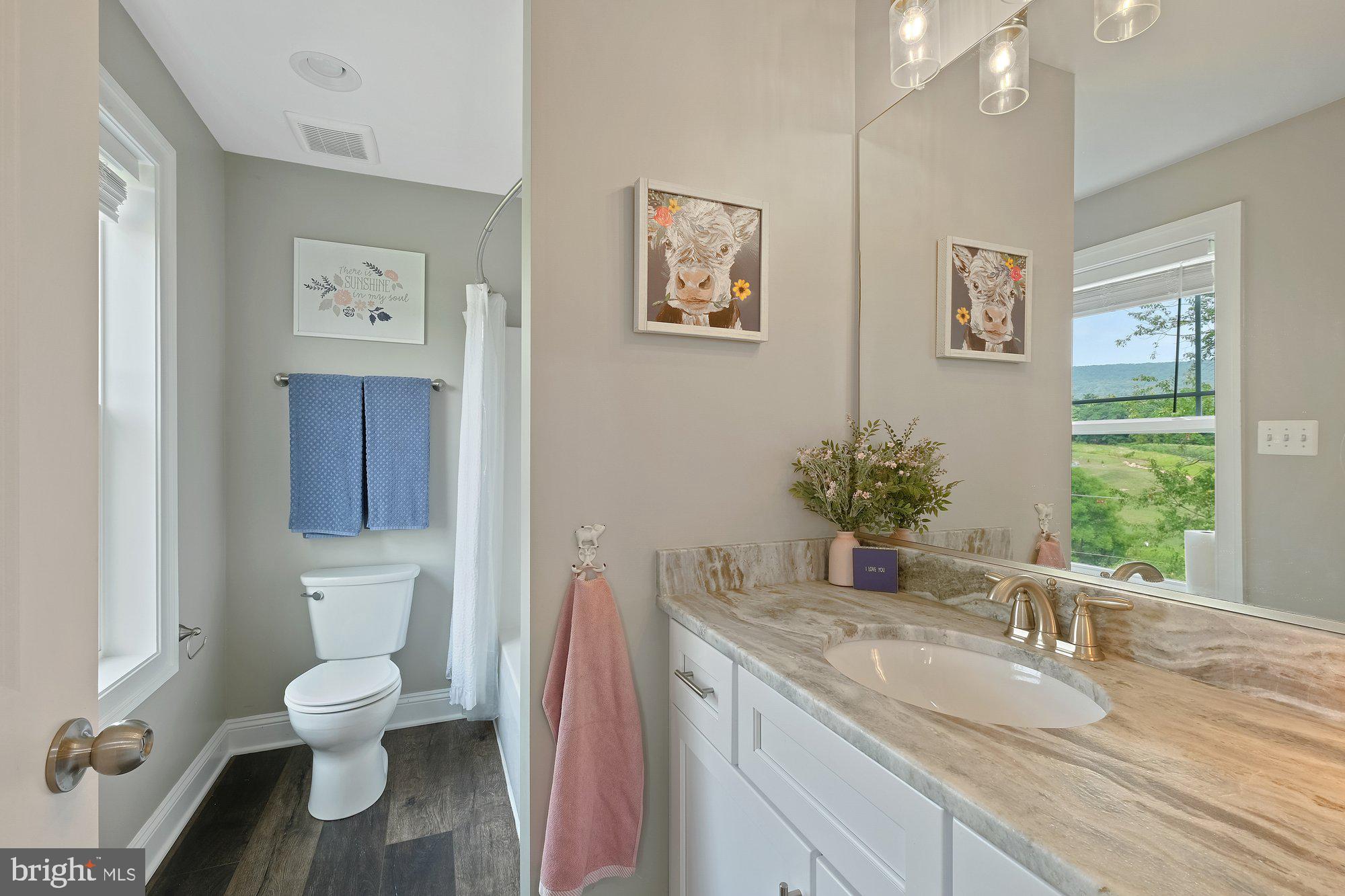 8712 Hollow Road Middletown, MD 21769 - Photo 24 of 37
