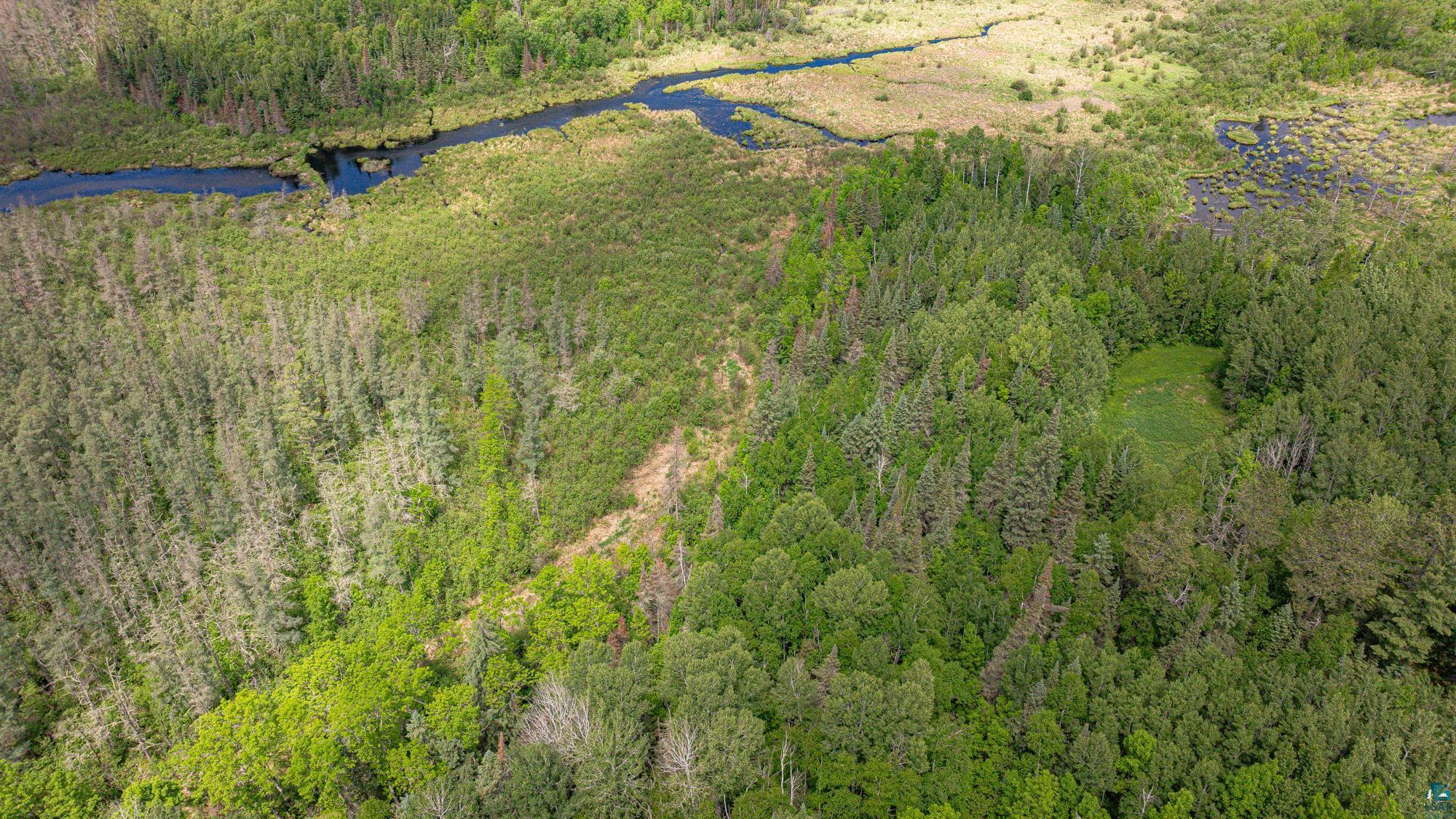 7280 Far North Road Buyck, MN 55771 - Photo 79 of 98