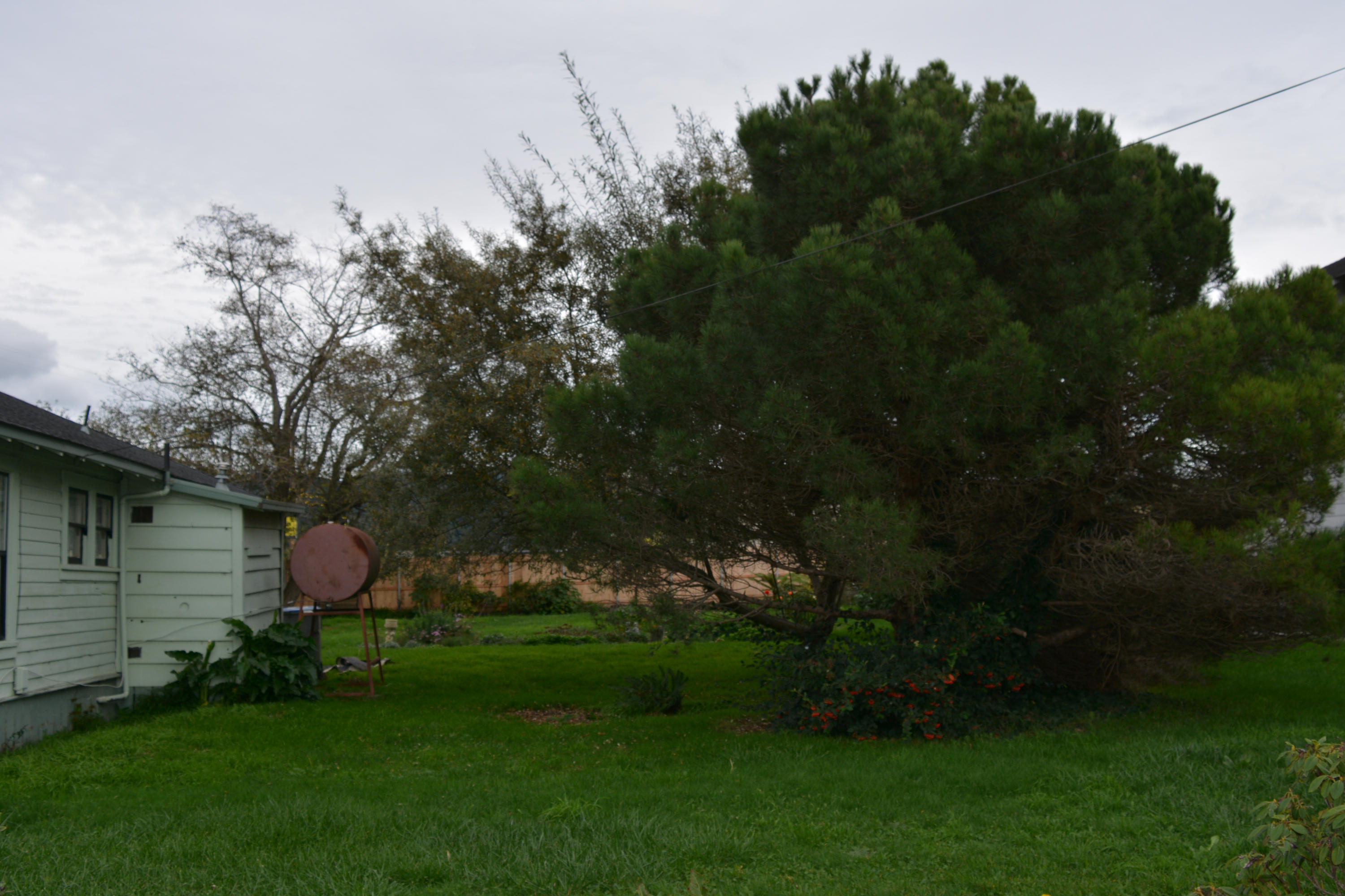 607 Spring Street Fortuna, CA 95540 - Photo 12 of 15 Gallery Image 12