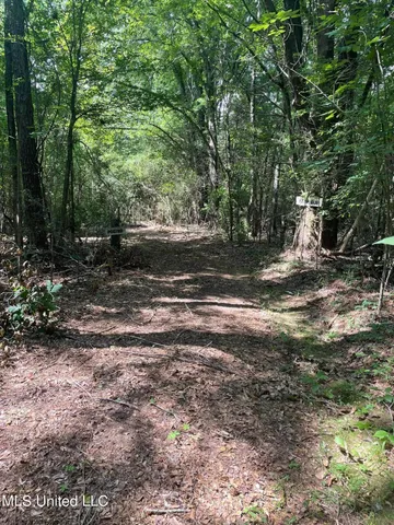 $1,605,000 | Cleo-clark Road Canton Ms 39046, Canton, MS 39046