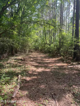 $1,605,000 | Cleo-clark Road Canton Ms 39046, Canton, MS 39046