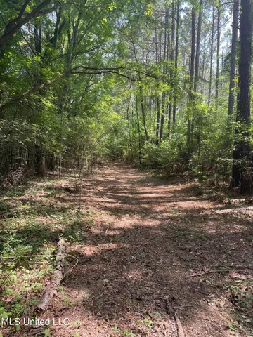 $1,605,000 | Cleo-clark Road Canton Ms 39046, Canton, MS 39046