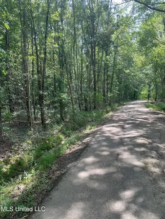 $1,605,000 | Cleo-clark Road Canton Ms 39046, Canton, MS 39046