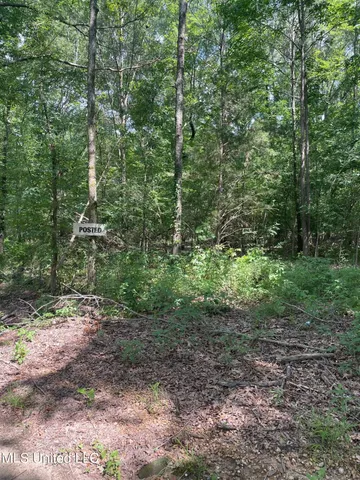 $1,605,000 | Cleo-clark Road Canton Ms 39046, Canton, MS 39046