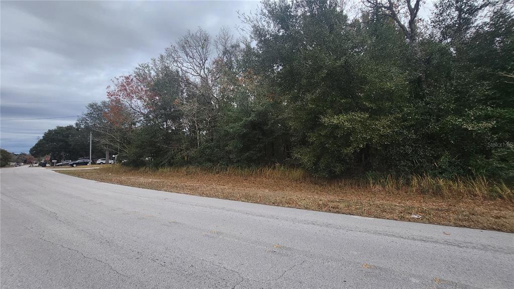 0 Water Road Ocala, FL 34472 - Photo 1 of 1 a view of a roadside