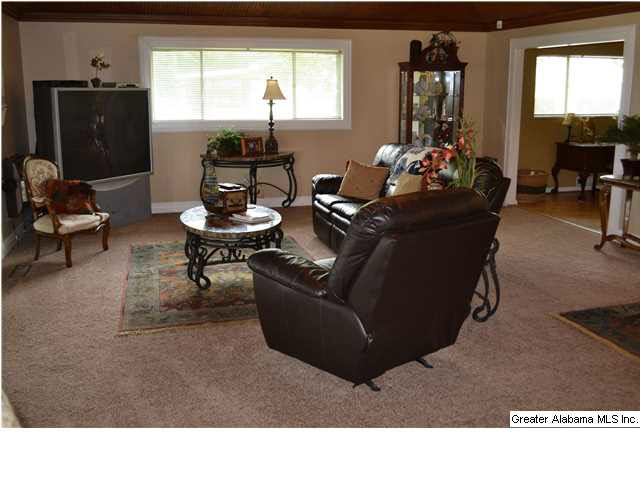 2160 Rabbit Branch Road Cropwell, AL 35054 - Photo 27 of 32