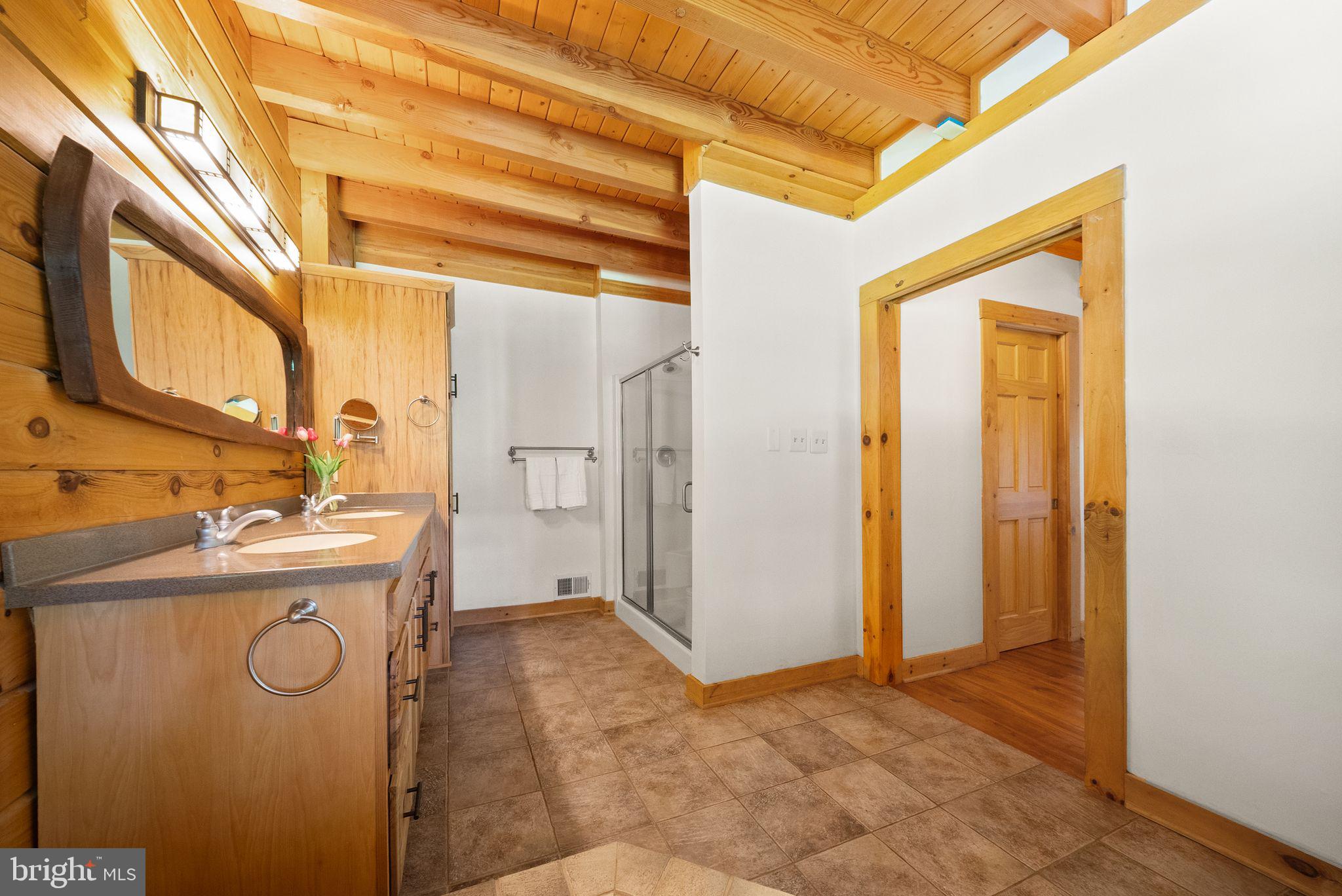 4020 Millwood Road Boyce, VA 22620 - Photo 38 of 132 Rich log walls with sun-fulled windows in bathroom