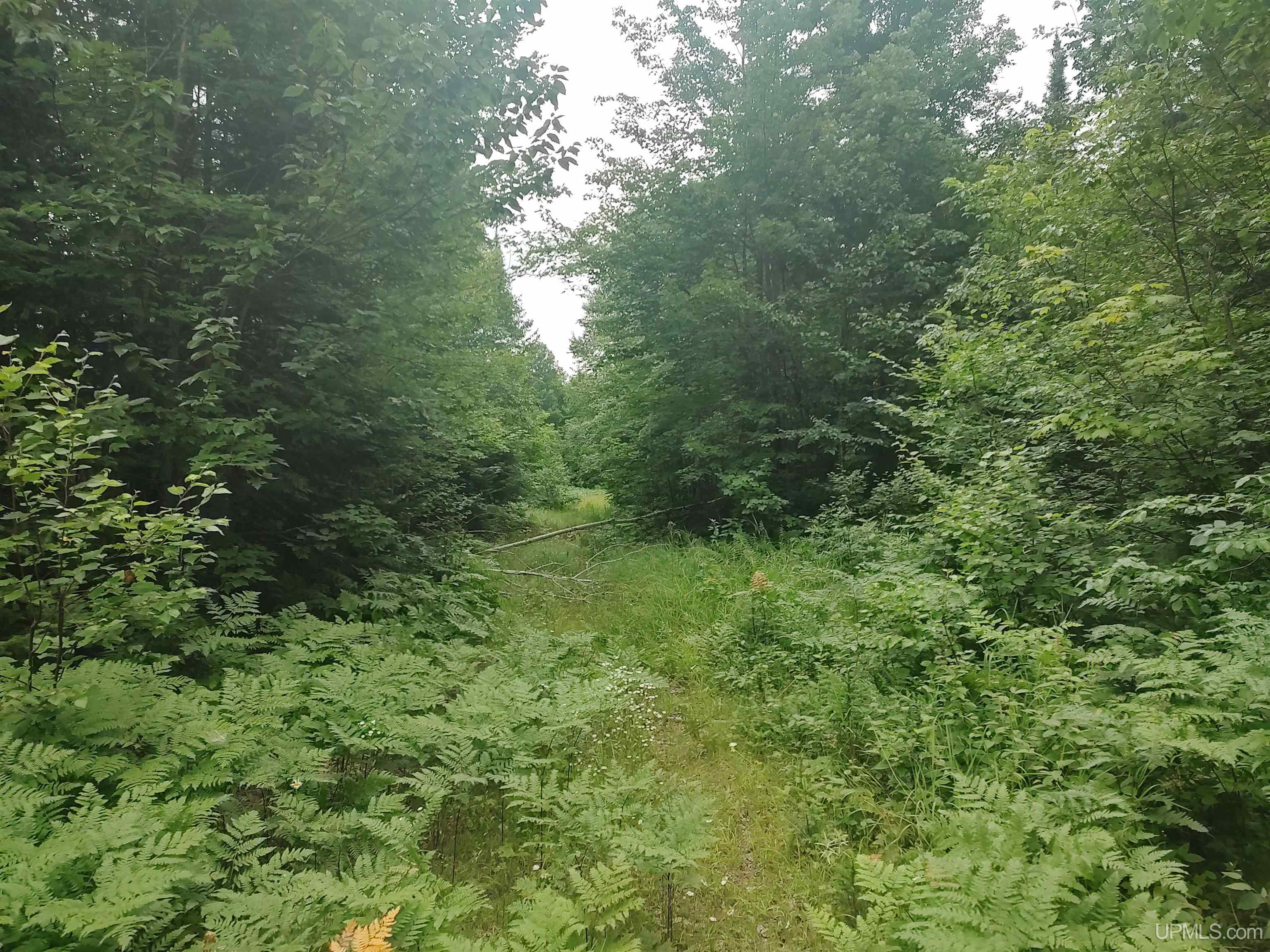 60-acres Sleepy Hollow Road Ishpeming, MI 49849 - Photo 10 of 29