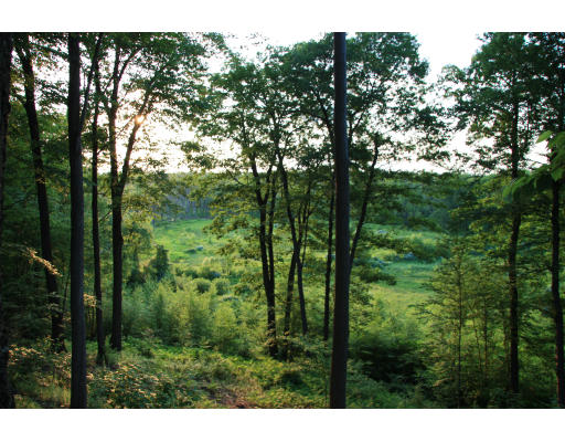 Lot 2 Hockanum Road Hadley, MA 01035 - Photo 1 of 1 a view of outdoor space and green space