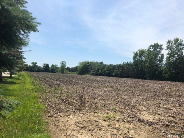 19002 32 Mile Road Ray, MI 48096 - Photo 1 of 4