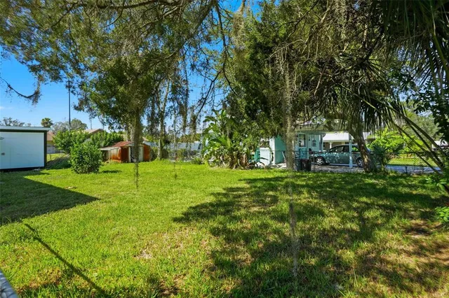 a backyard of a house with plants and large trees
