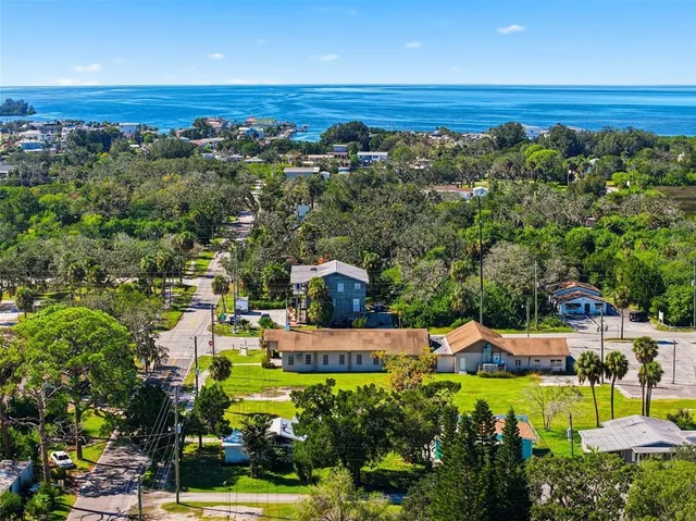 a view of a garden with houses