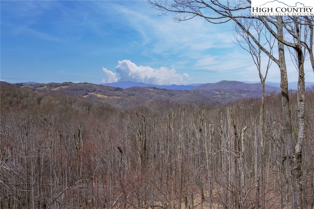 401 Pine Ridge Road Beech Mountain, NC 28604 - Photo 21 of 50 a view of a mountain in the distance in a field