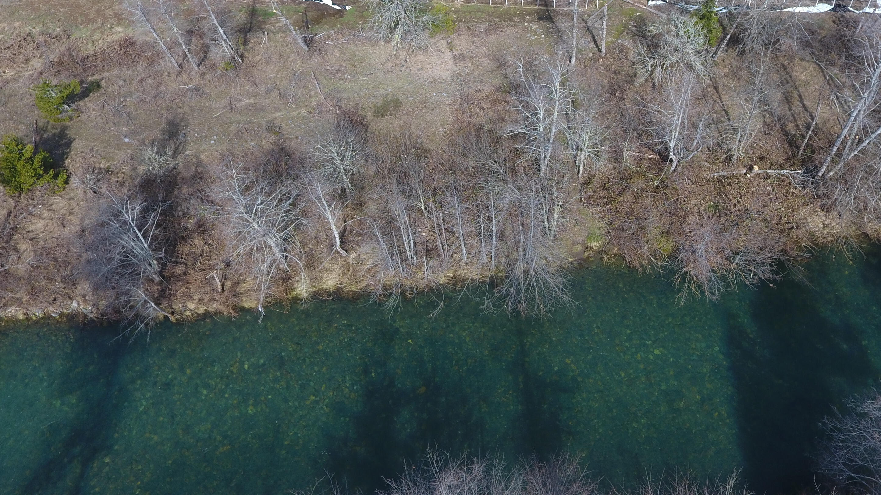602 Lone Mountain Road Cave Junction, OR 97523 - Photo 2 of 10 DJI_0106