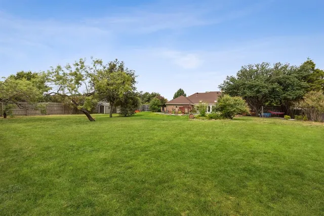 a view of green field with tree in the background