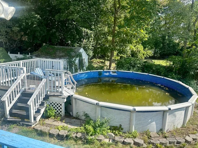 a view of a swimming pool with deck and plants