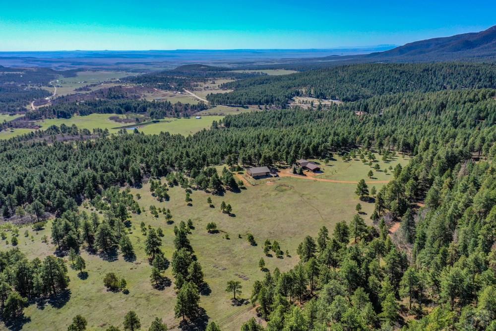 8675 State Highway Rye, CO 81069 - Photo 5 of 75