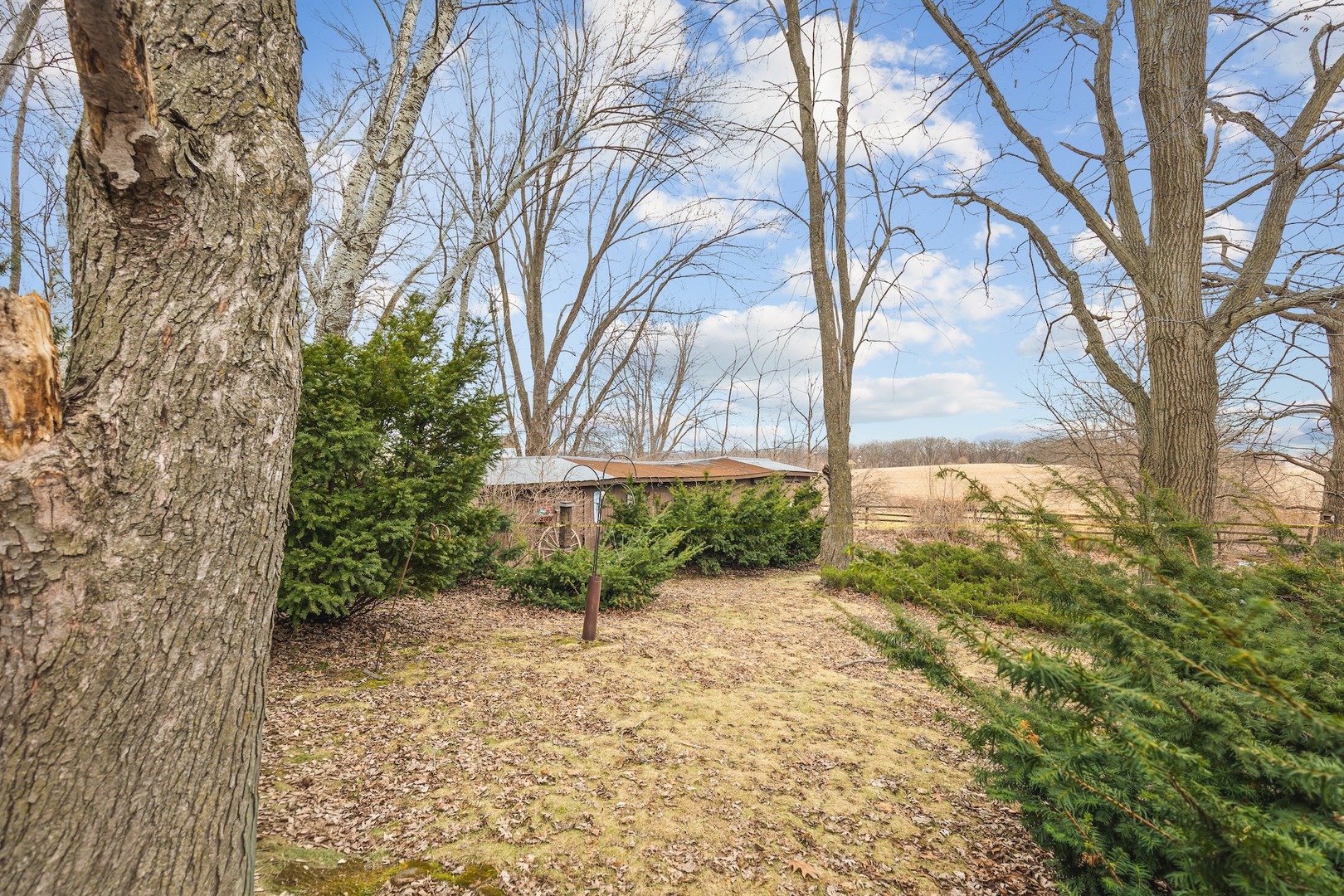 6867 North Eggert Road Rock City, IL 61070 - Photo 15 of 16 a backyard of a house with lots of green space
