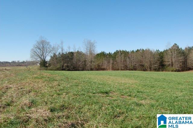 131 County Road, Unit 8 Roanoke, AL 36274 - Photo 3 of 6