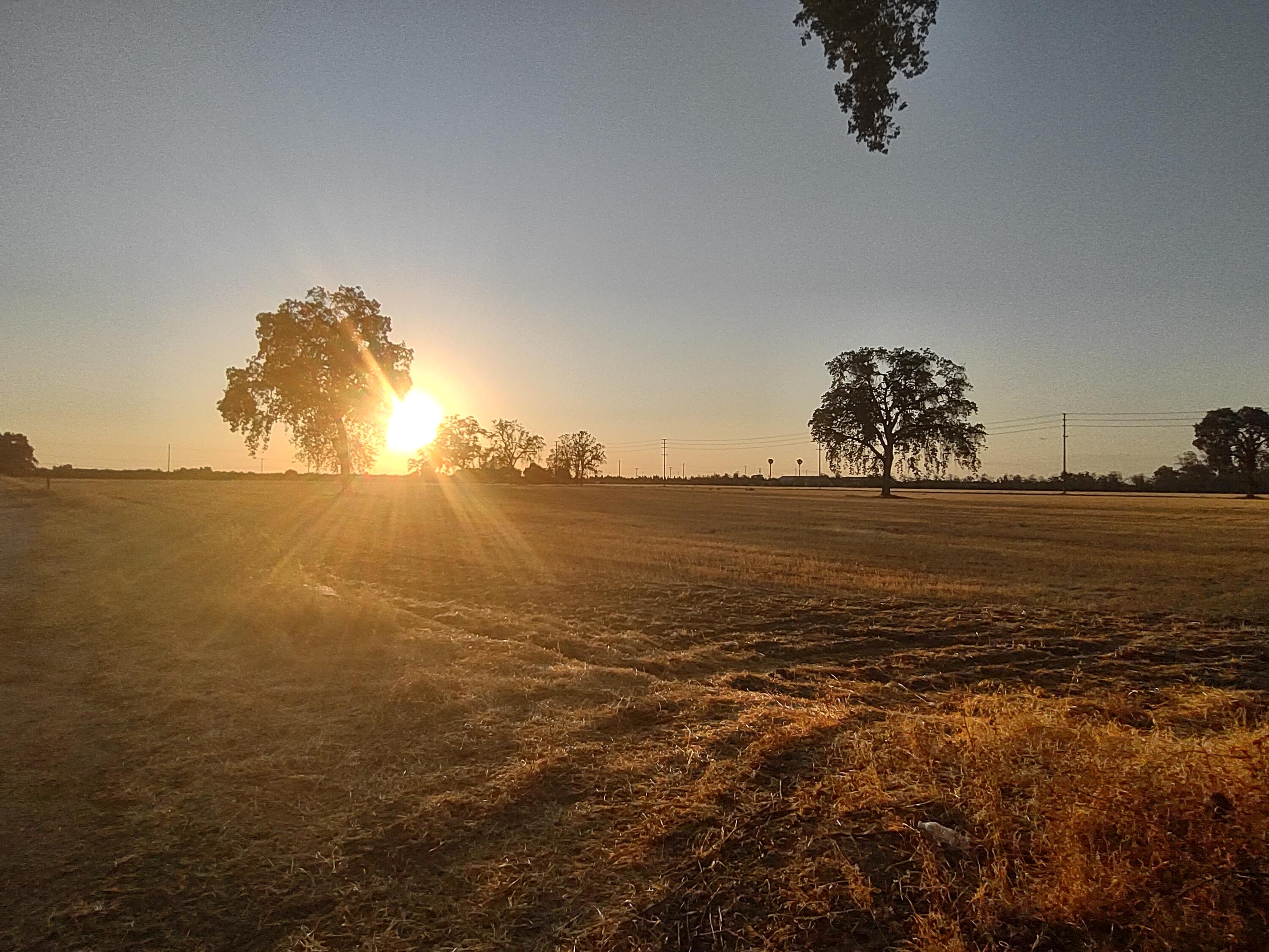 Lovers Lane Visalia, CA 93292 - Photo 6 of 10 1000001741
