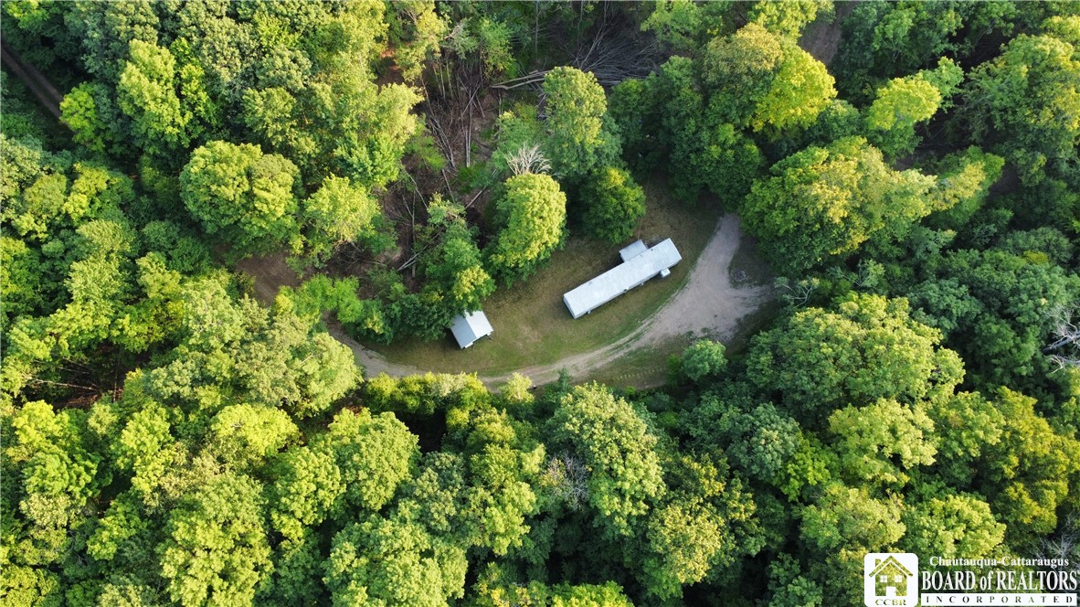 0 Phillips Hill Bolivar, NY 14715 - Photo 21 of 29