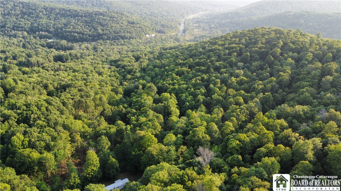0 Phillips Hill Bolivar, NY 14715 - Photo 22 of 29