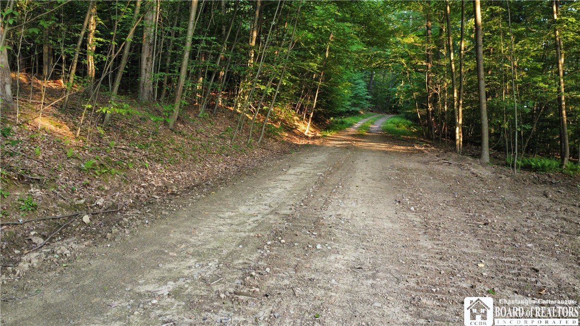 0 Phillips Hill Bolivar, NY 14715 - Photo 23 of 29