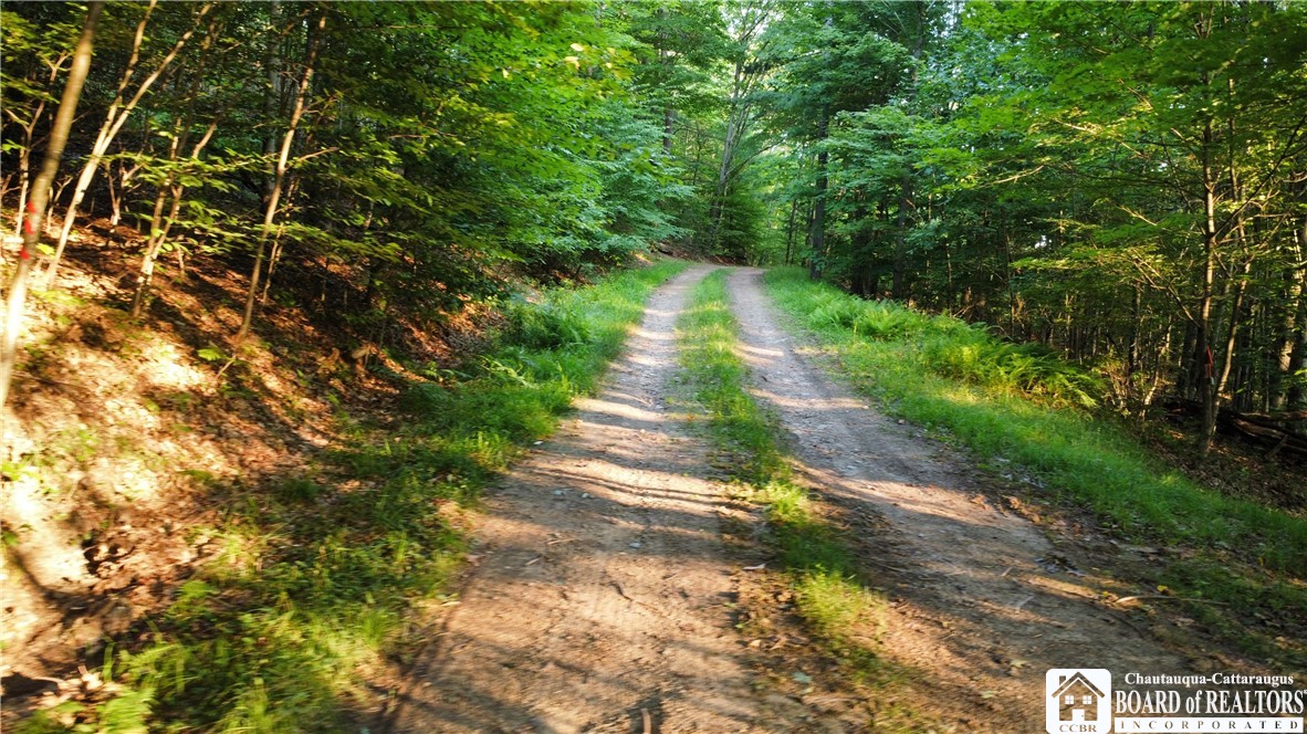 0 Phillips Hill Bolivar, NY 14715 - Photo 24 of 29