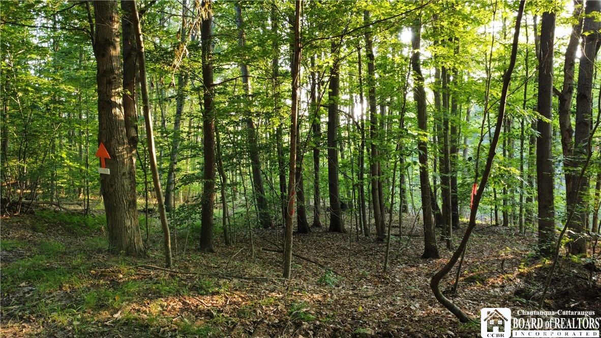 0 Phillips Hill Bolivar, NY 14715 - Photo 25 of 29