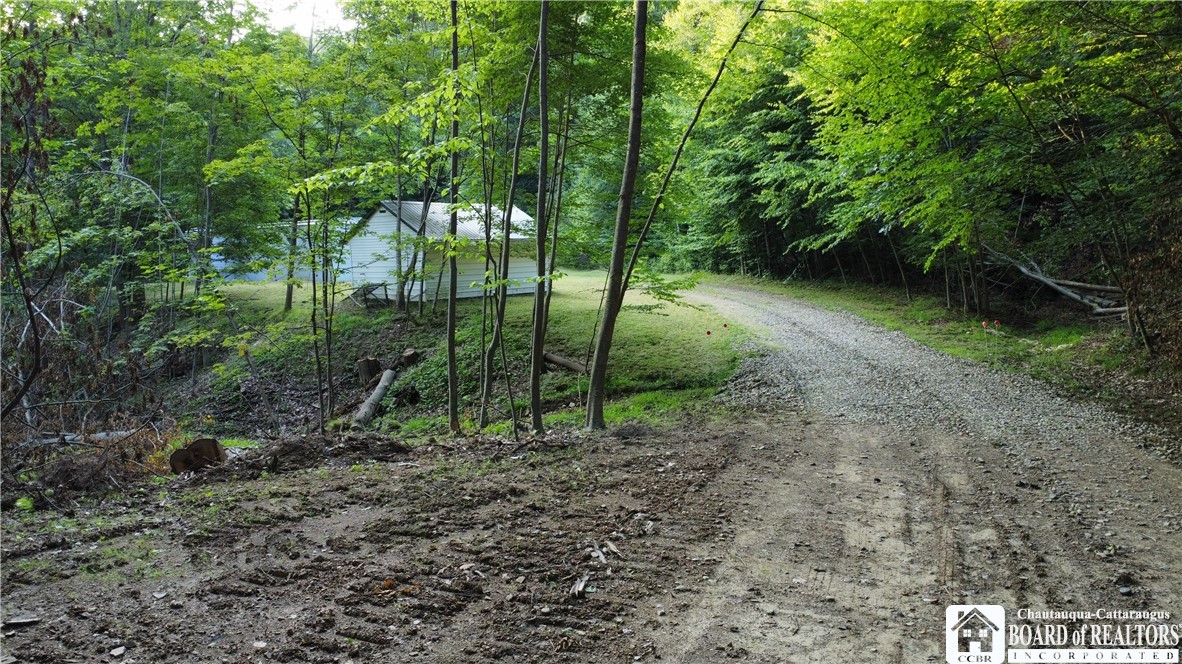 0 Phillips Hill Bolivar, NY 14715 - Photo 26 of 29