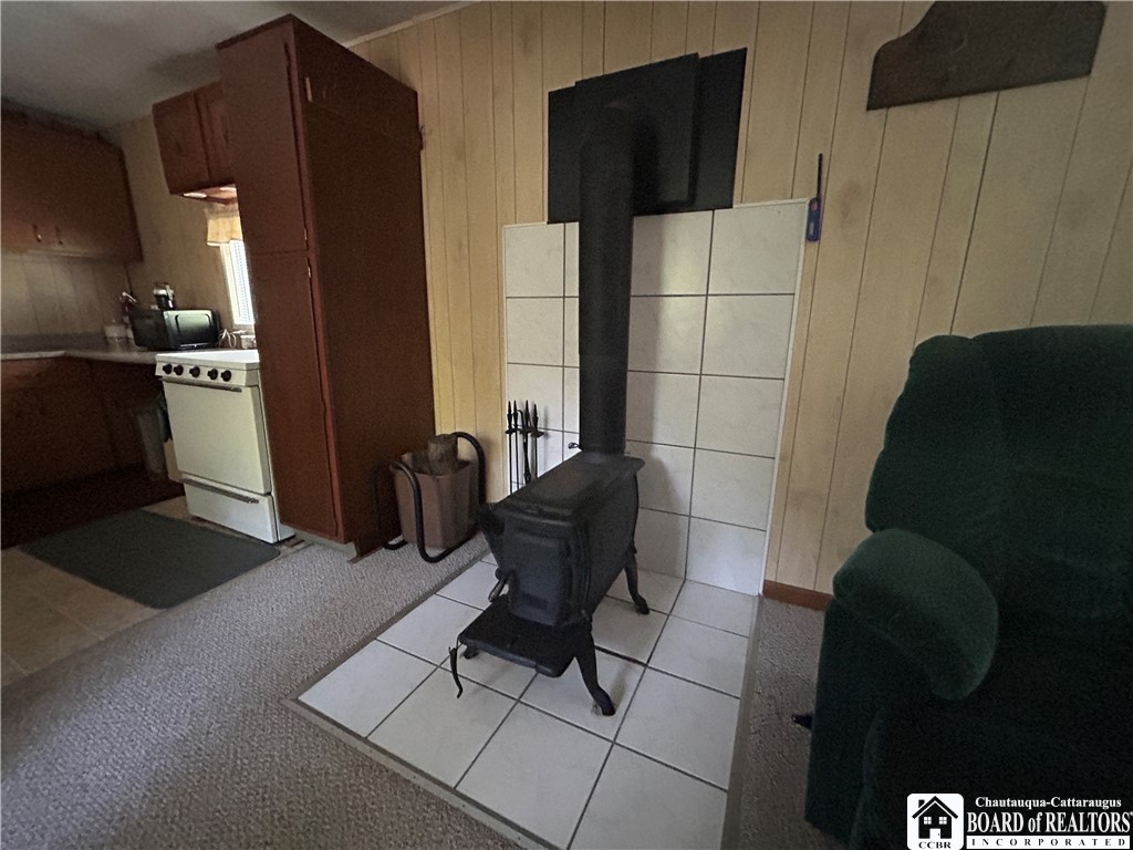 0 Phillips Hill Bolivar, NY 14715 - Photo 9 of 29