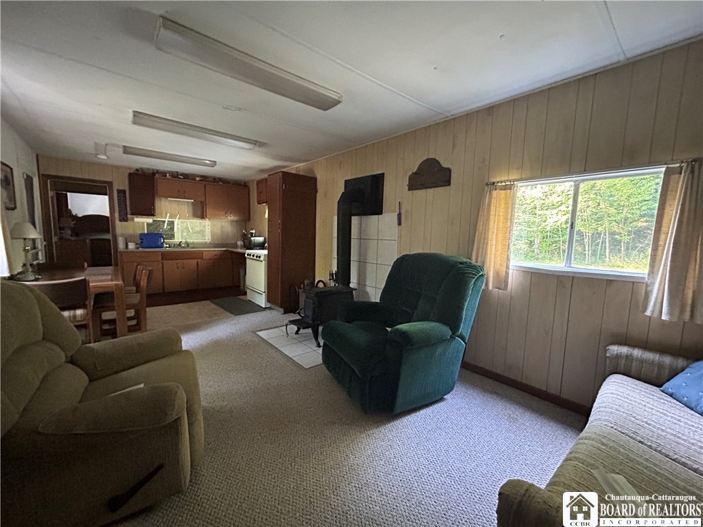 0 Phillips Hill Bolivar, NY 14715 - Photo 10 of 29