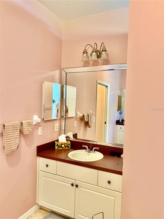 18970 Southwest 99th Street Dunnellon, FL 34432 - Photo 12 of 52 a bathroom with a sink and a mirror
