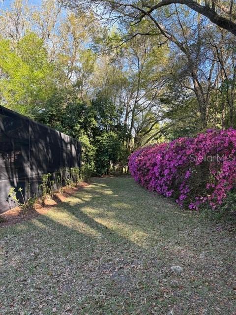 18970 Southwest 99th Street Dunnellon, FL 34432 - Photo 41 of 52 a view of a backyard with a tree