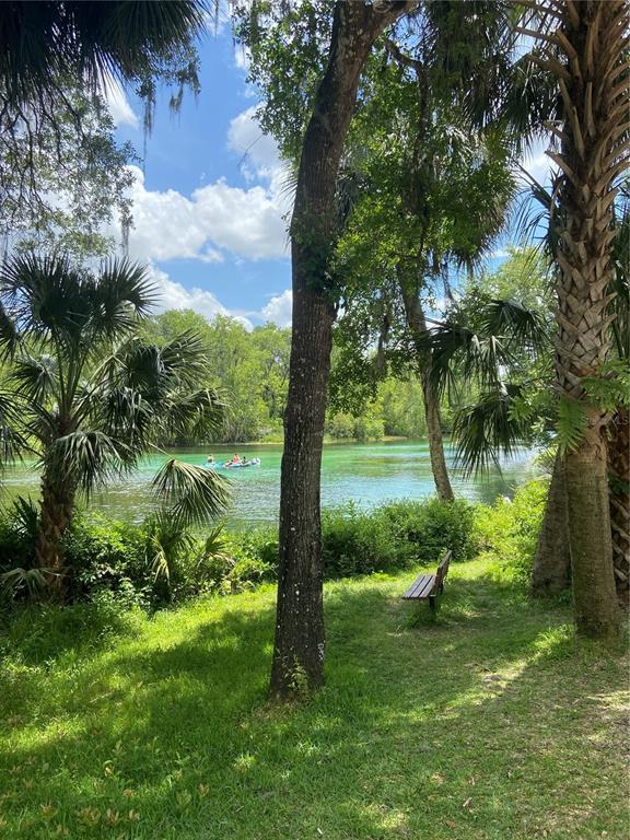 18970 Southwest 99th Street Dunnellon, FL 34432 - Photo 47 of 52 a view of a garden with a tree