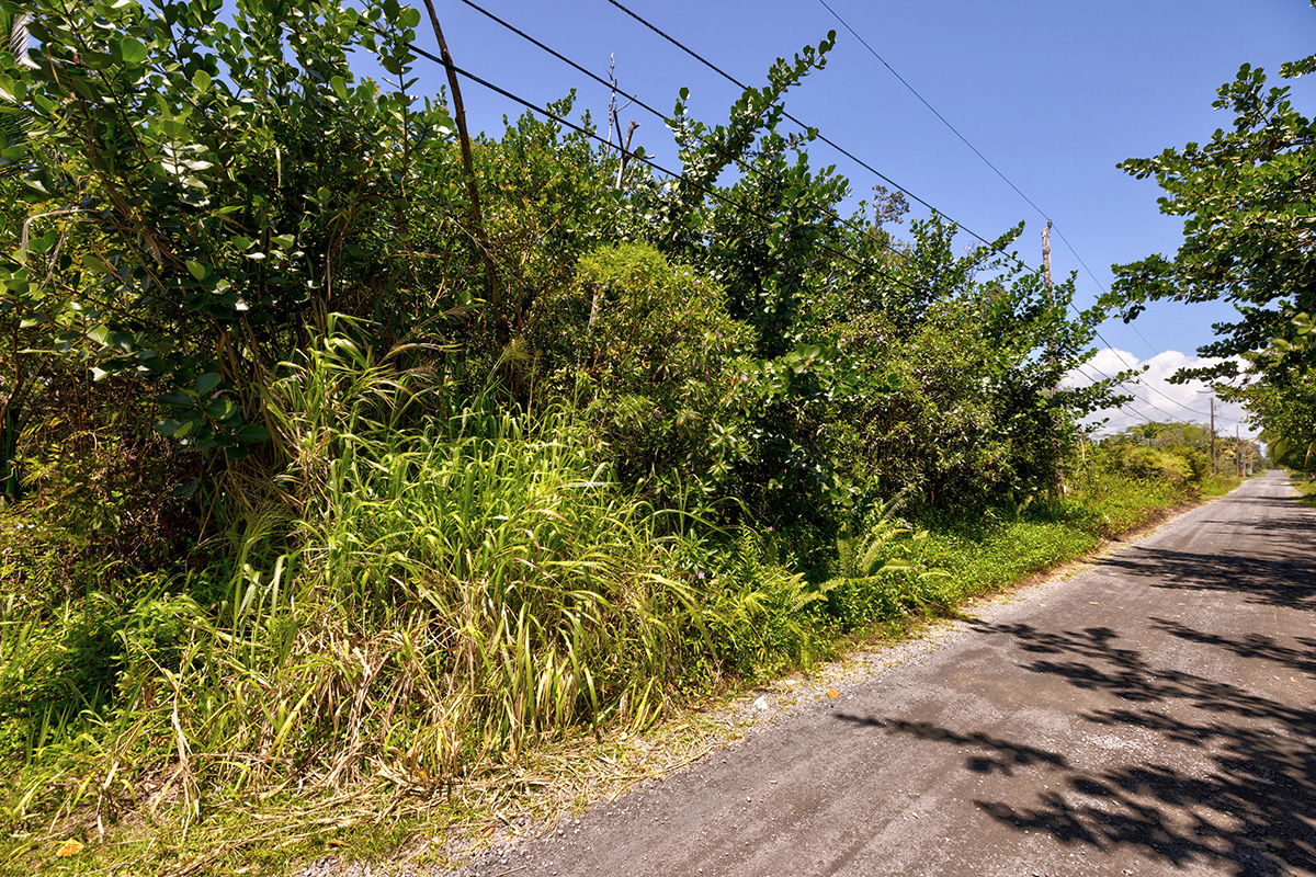80 Ama U Road Keaau, HI 96749 - Photo 5 of 8 a view of a garden