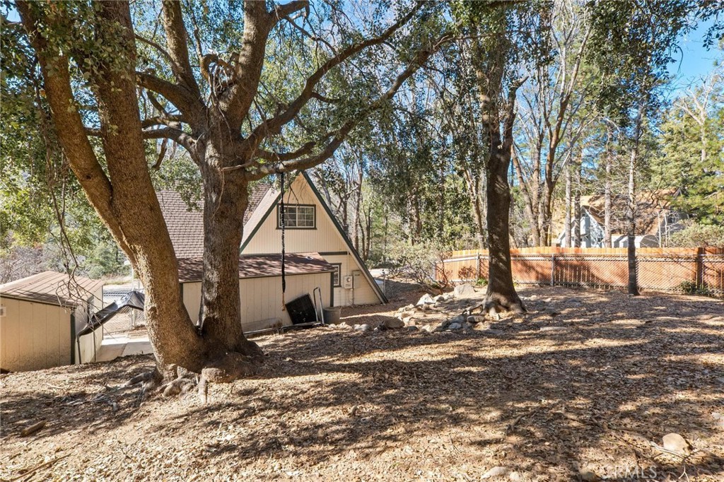 6069 Maple Avenue Angelus Oaks, CA 92305 - Photo 41 of 51 a tree in the middle of a yard