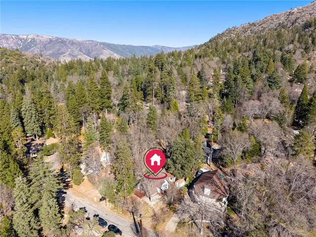 a view of backyard with a garden and a large tree
