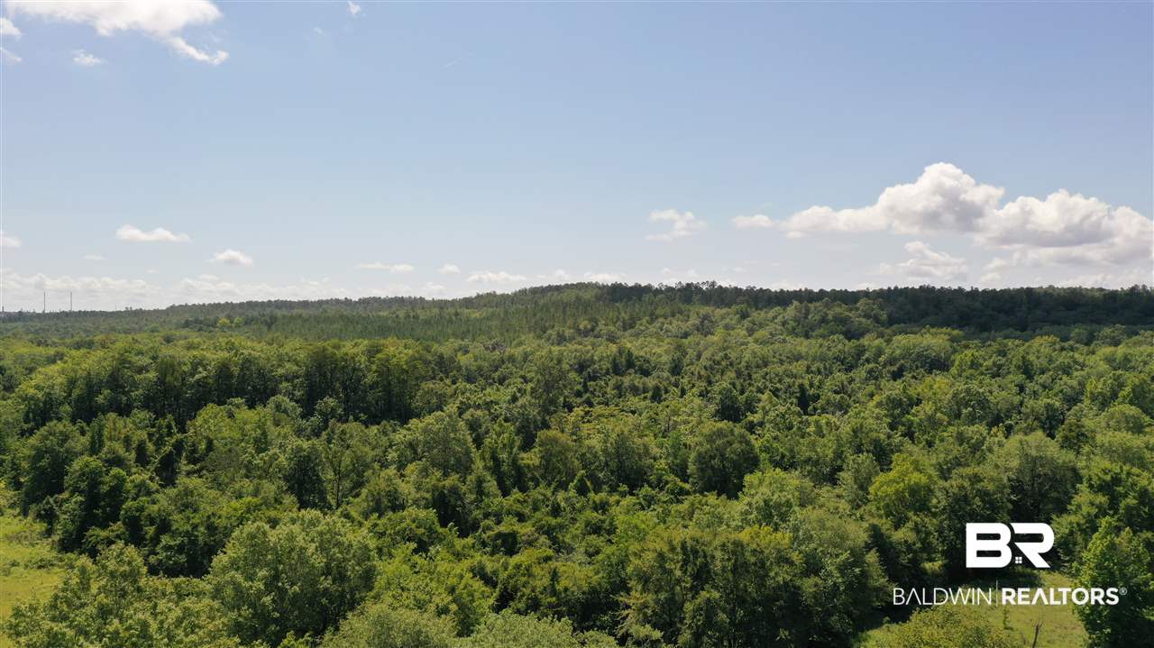 0 Highway 4 Jay, FL 32565 - Photo 4 of 50
