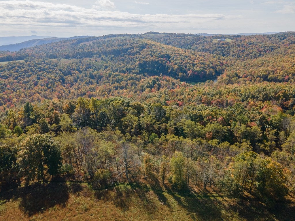 Tbd Tbd Fairview Church Road Floyd, VA 24091 - Photo 36 of 36 Gallery Image 36