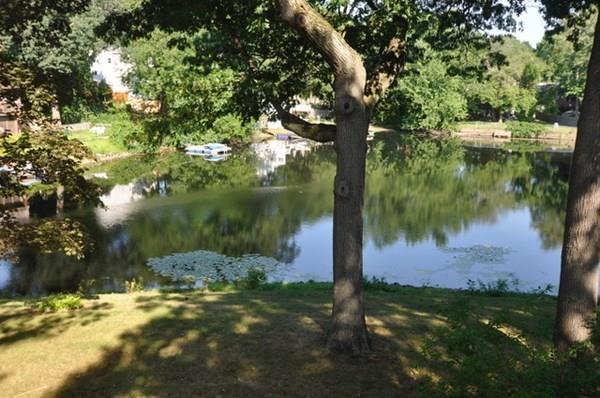 27 Hollis Road Lynn, MA 01904 - Photo 26 of 28 Gallery Image 26