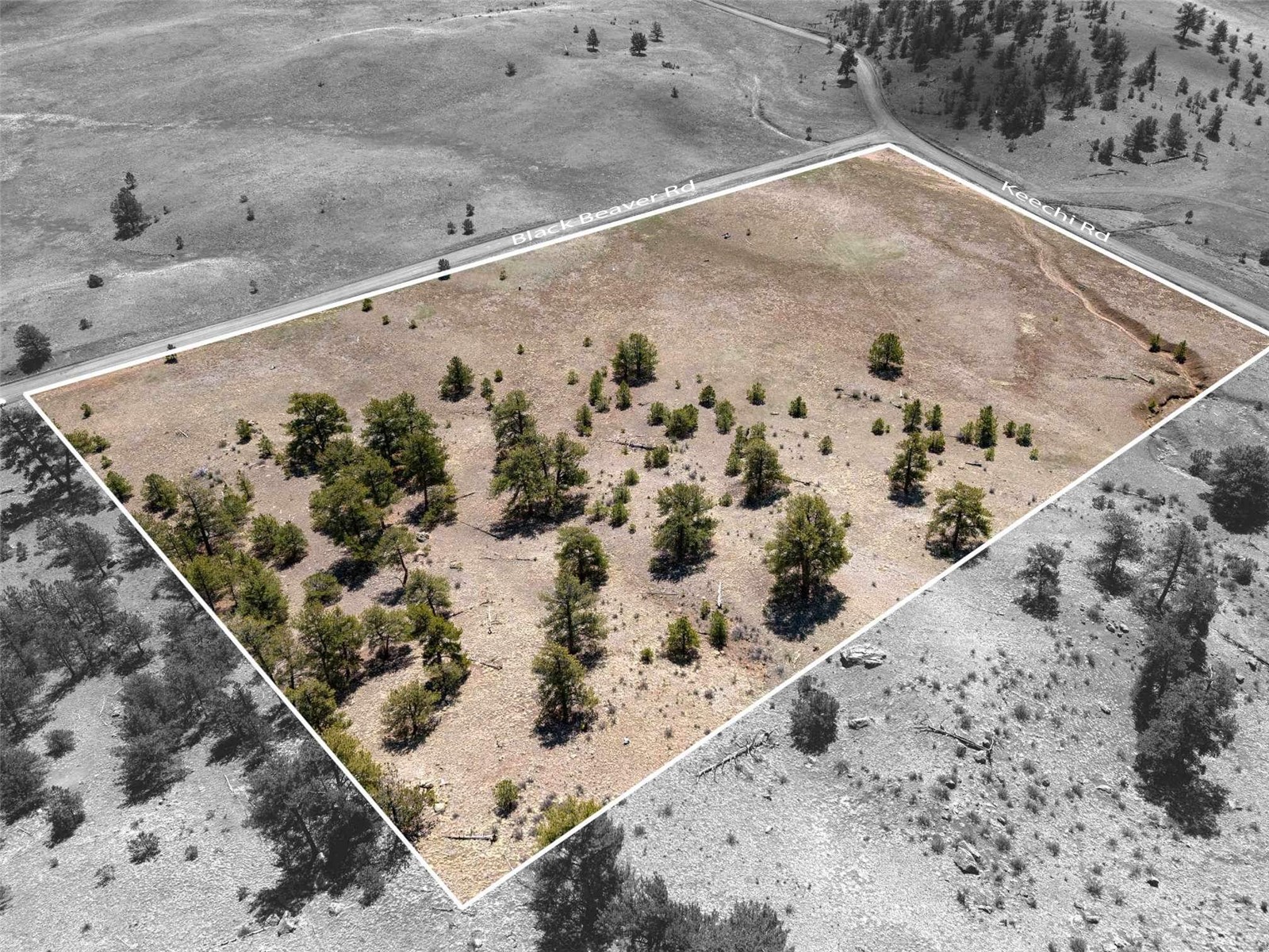 Tbd Tbd Black Beaver Rd/ Keechi Road Hartsel, CO 80449 - Photo 21 of 28 Approximate Lot line