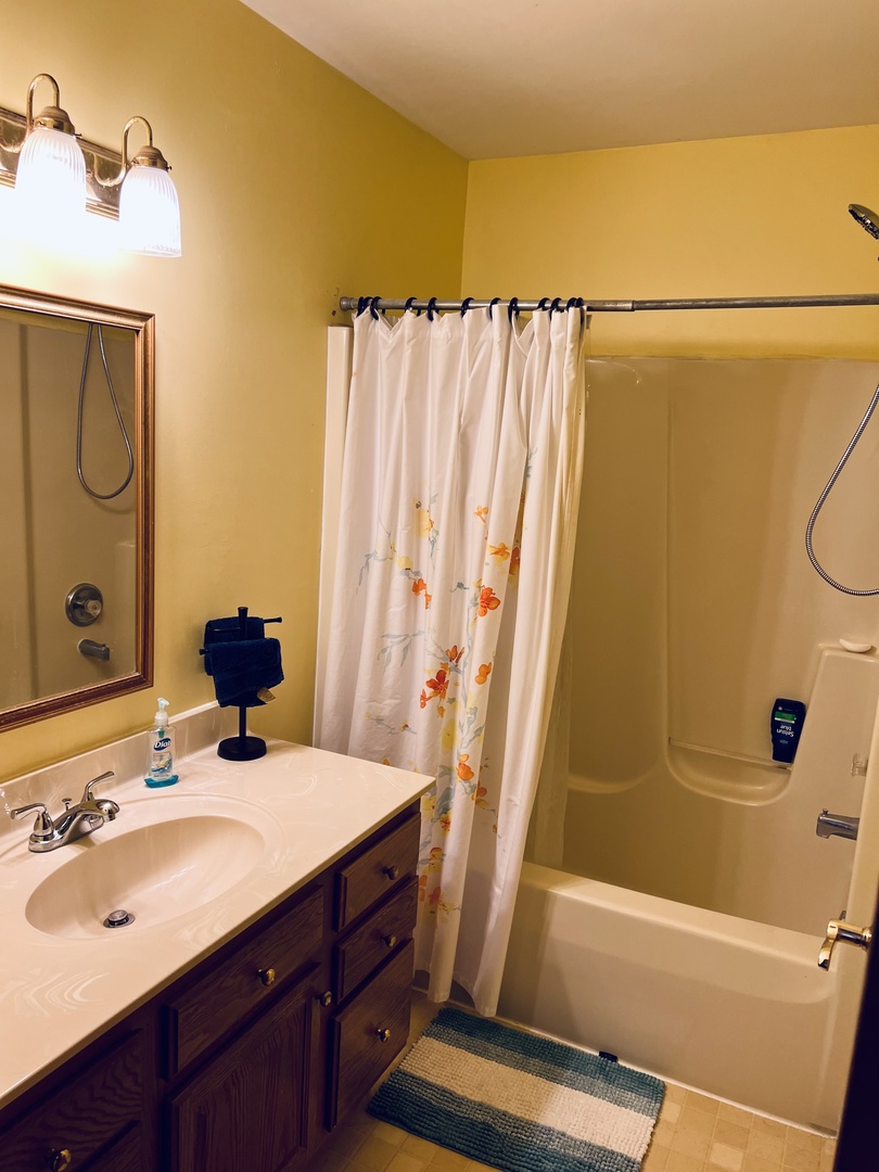 10087 Branch Road Rochelle, IL 61068 - Photo 23 of 27 a bathroom with a sink a mirror and a shower
