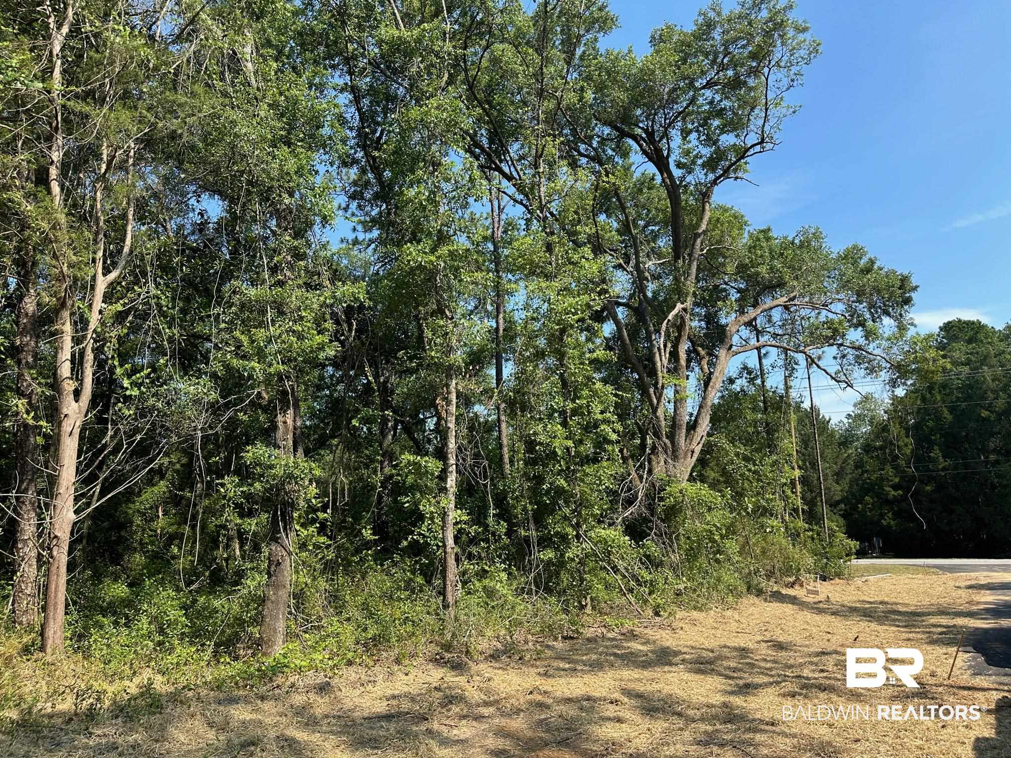 0 Sedlack Road Silverhill, AL 36576 - Photo 4 of 12
