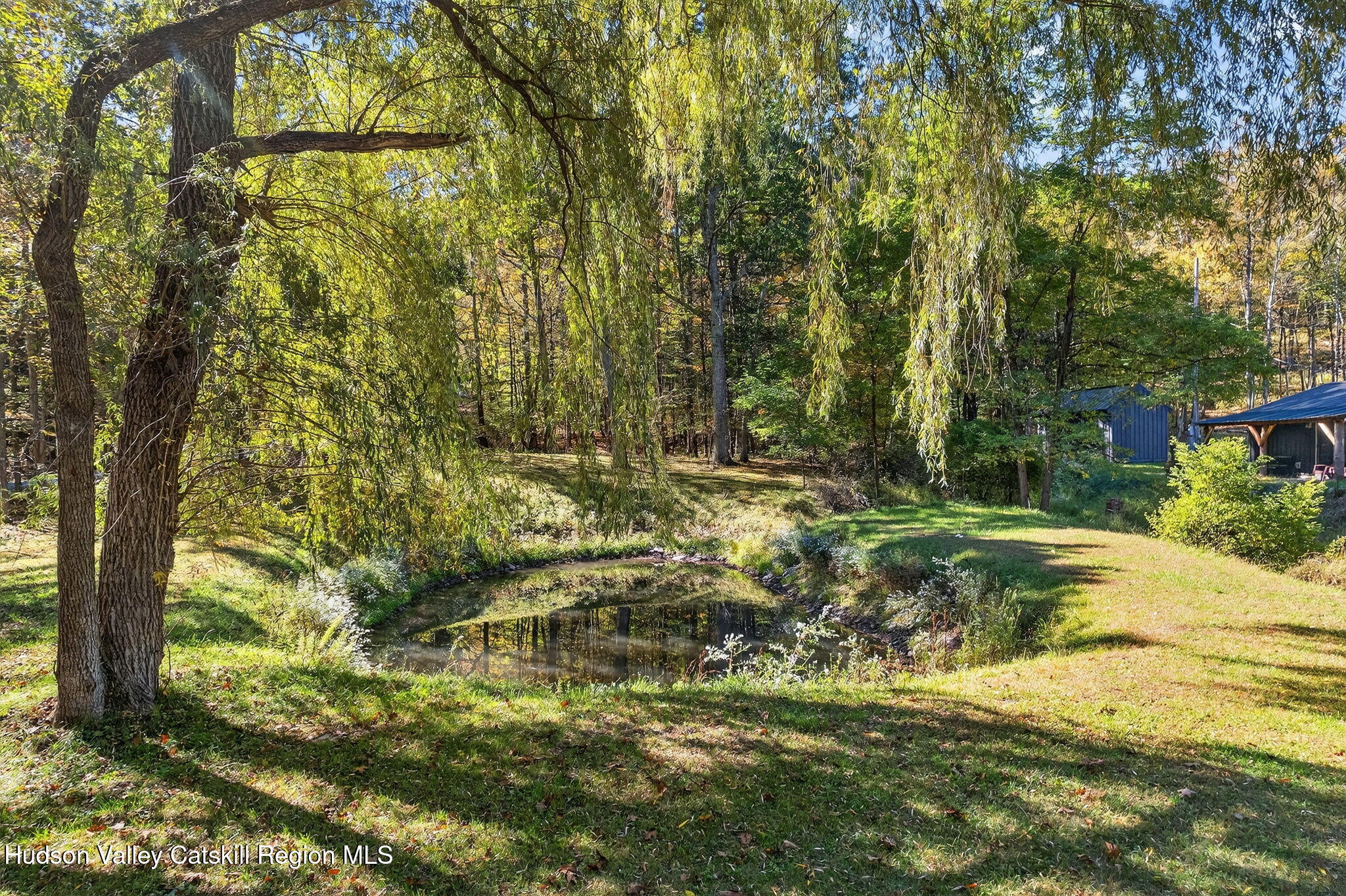 40 Paddock Road East Durham, NY 12423 - Photo 29 of 61 a view of backyard with green space