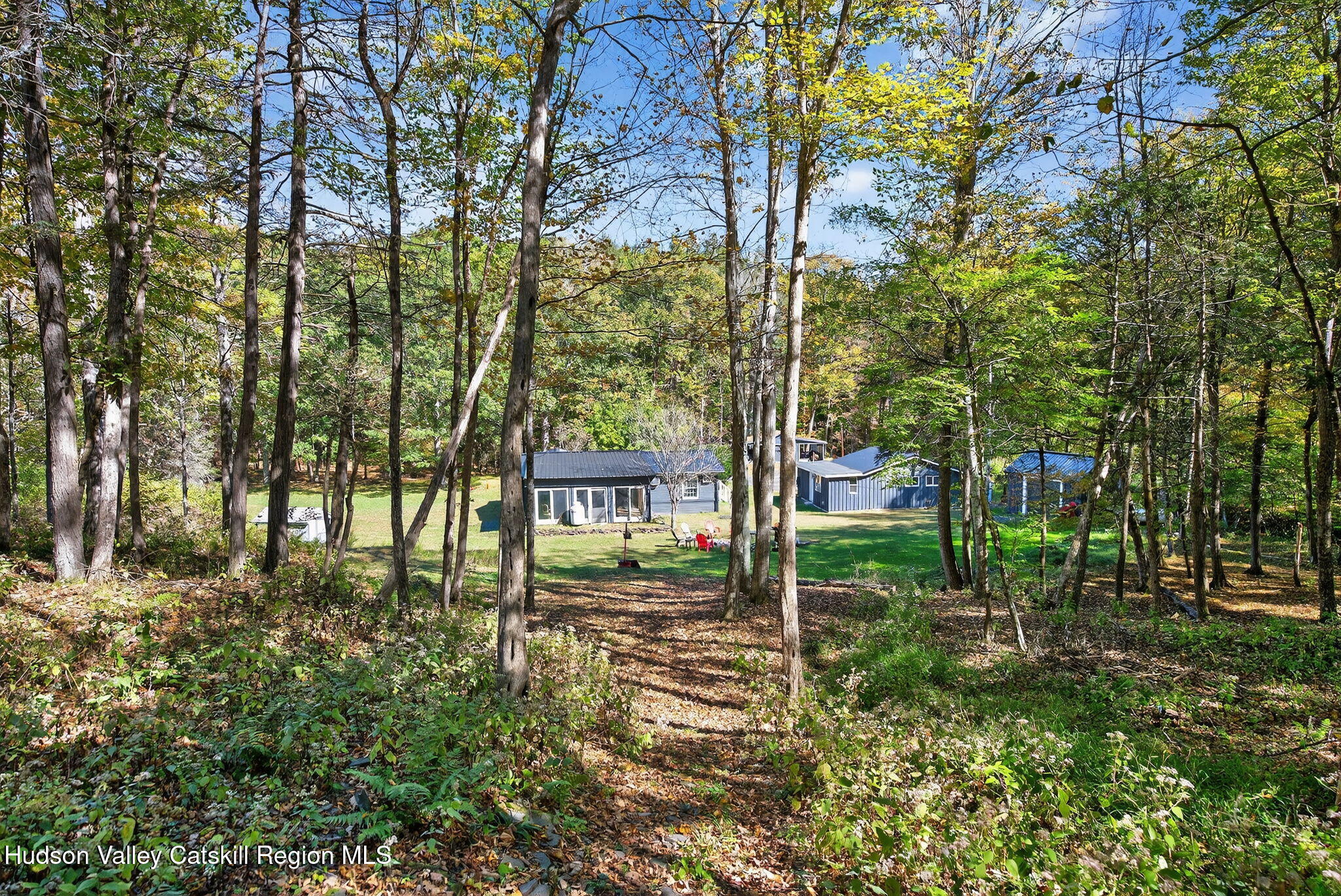 40 Paddock Road East Durham, NY 12423 - Photo 43 of 61 a backyard of a house with lots of green space