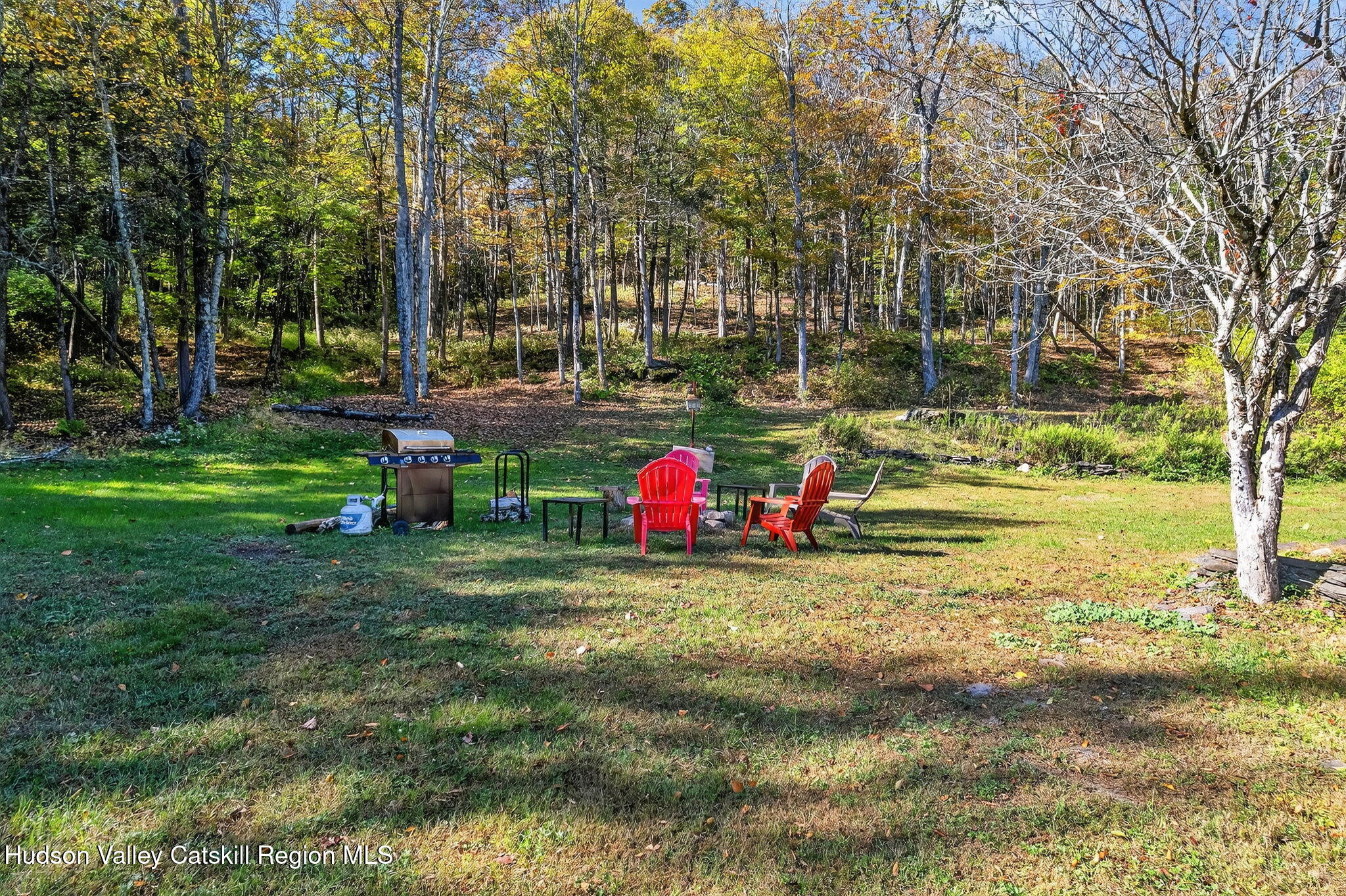 40 Paddock Road East Durham, NY 12423 - Photo 50 of 61 a view of a park with large trees