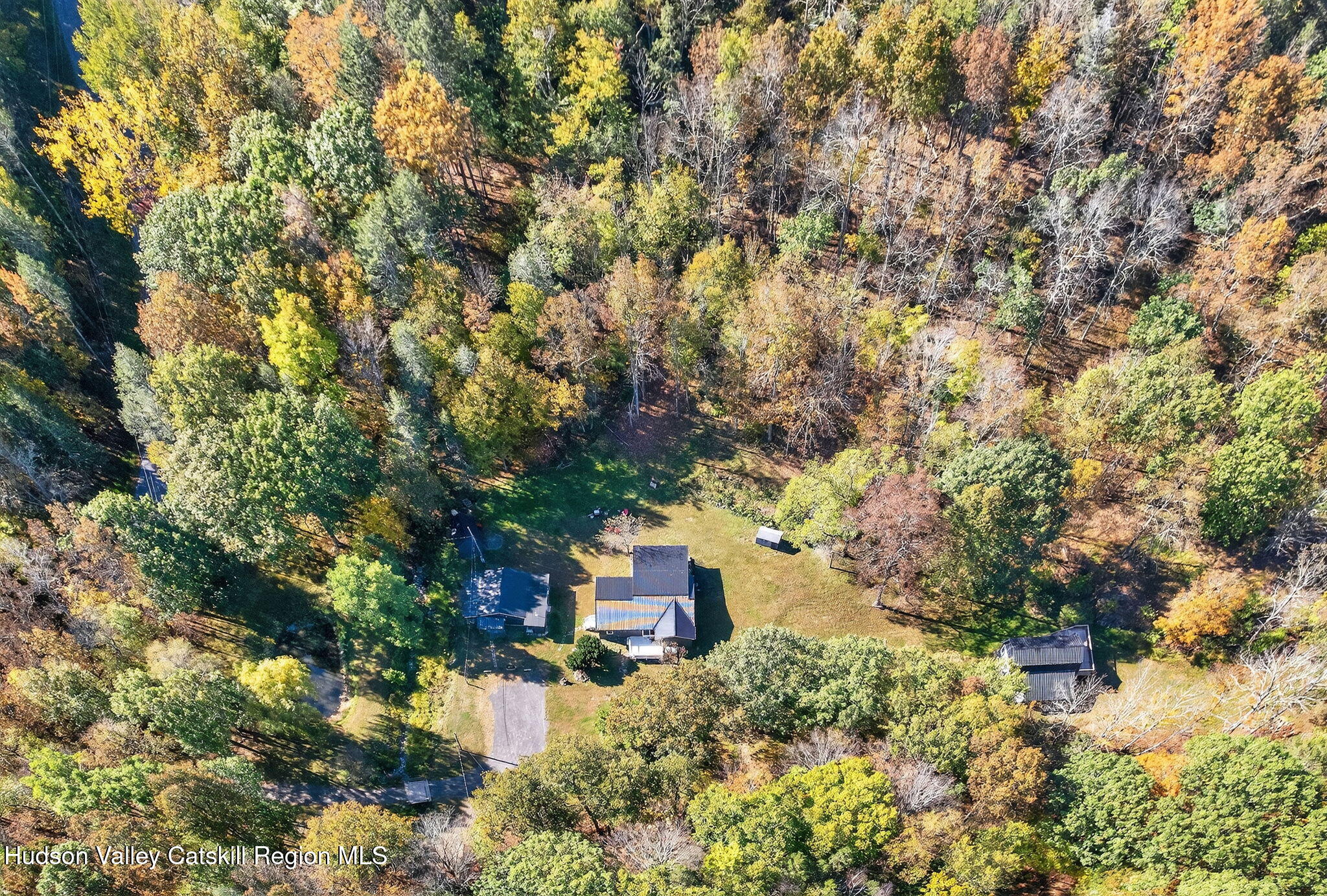 40 Paddock Road East Durham, NY 12423 - Photo 60 of 61 a picture of trees
